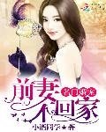 名门婚宠:前妻不回家